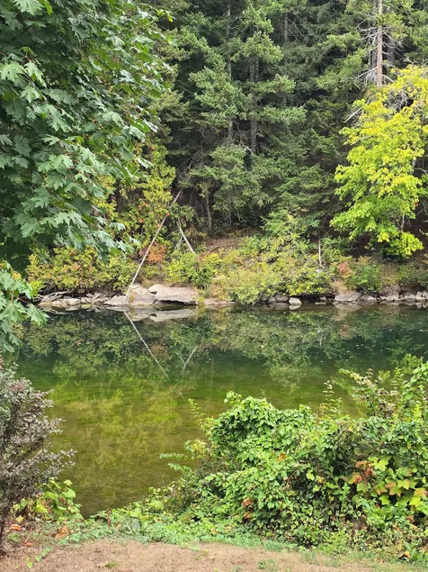 Vancouver Island, River Lodge, Escape - Image 1