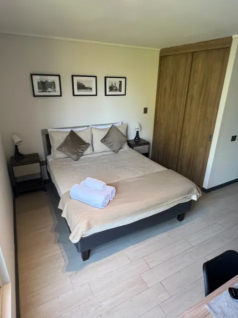 Modern studio in Parque Quinta Normal - Image 1