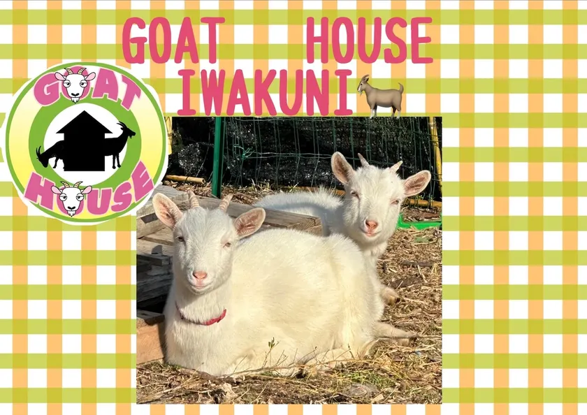 GOAT HOUSE Iwakuni - Image 1