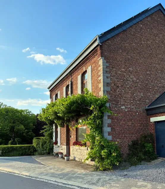 The vineyard - Image 1