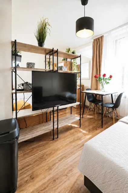 Studio (optimal 4 person, economy 4 - 6 person) - Image 1