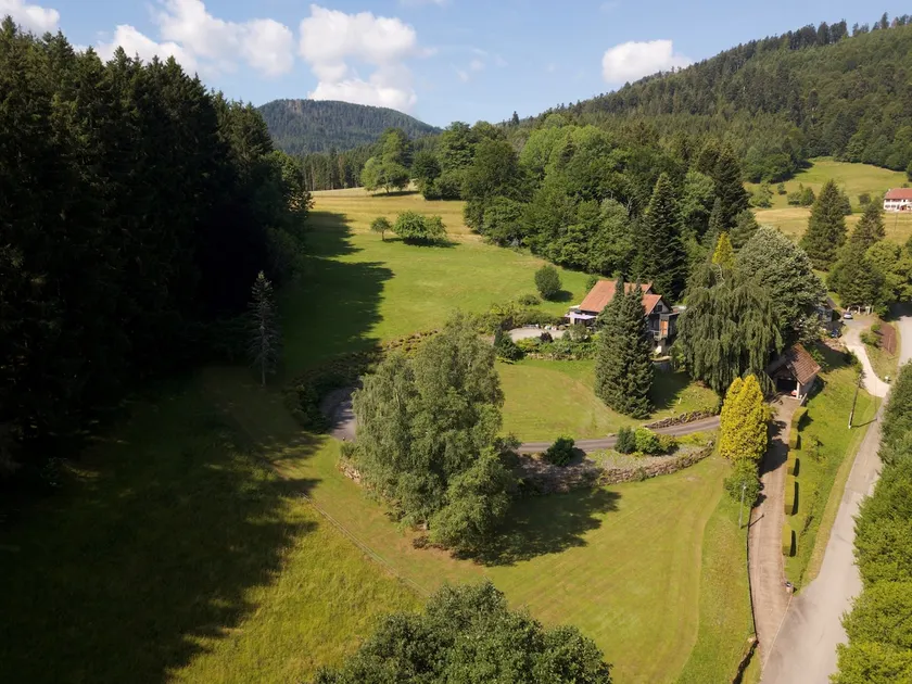 Cozy & renovated cottage near the Donon, quiet & terrace - Image 1