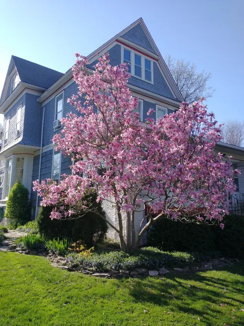 Good Sized 3 BR Apt. - FLW Hist. Dist. - Oak Park - Image 1