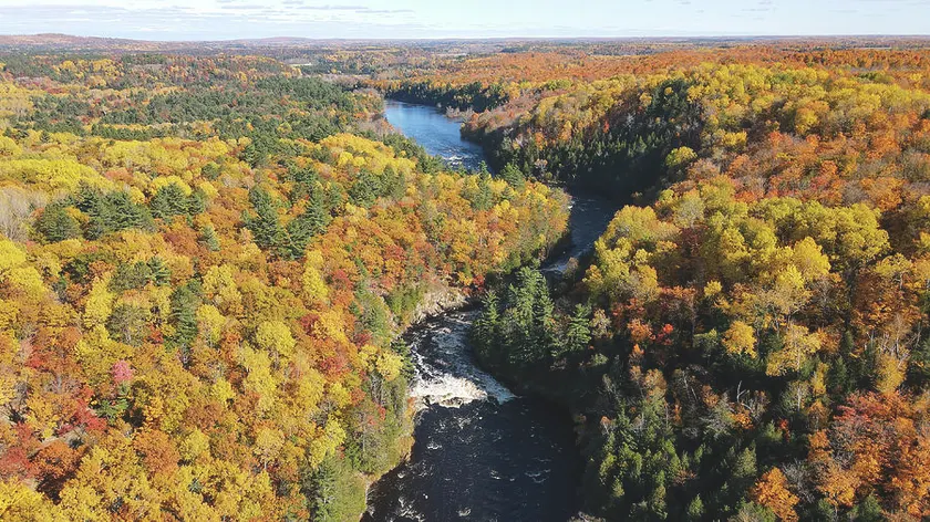 Bear Point Hideout - Image 1