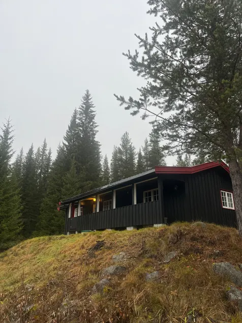 Cozy cabin, 20 min from Hemsedal - Image 1
