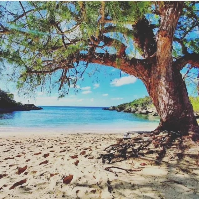 Private beach Chef/driver avail (fee) Near Ochi 5* - Image 1