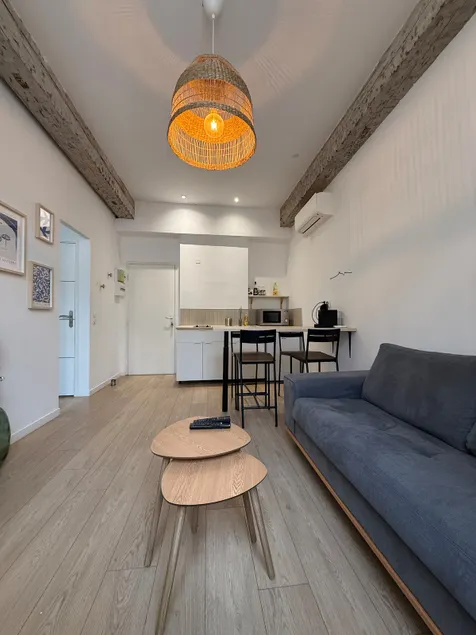 Renovated apartment on the VIEUX PORT - Image 1