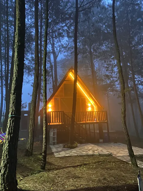 Cabin in connection with the forest: The clover - Image 1