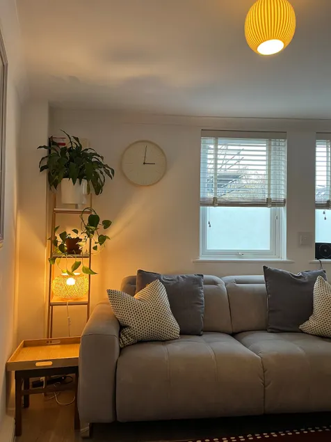 Beautiful central city flat with free parking - Image 1
