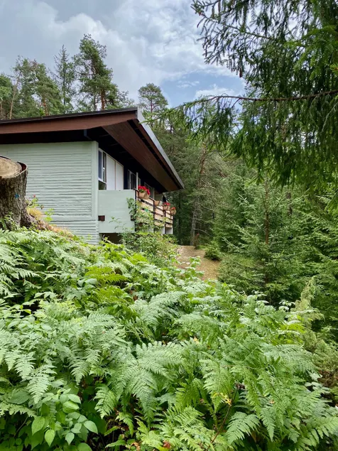 Ca'Mugo, a chalet in the magic woods, near Cortina - Image 1