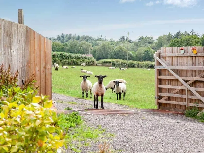 Piglet Cottage - Old Highwood Holiday Cottages - Image 1