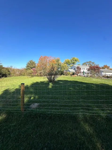 Winchester farm - Image 1