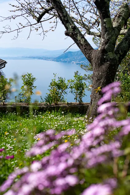 The refuge in the woods - sea view - parking - Image 1