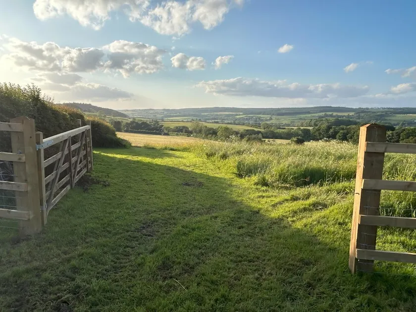 Sea & Forest Views & Fully Fenced Dog Field - Image 1