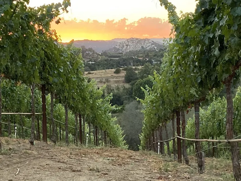 Barking Dog Winery - Image 1