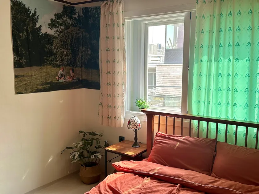 Tiger House - Image 1