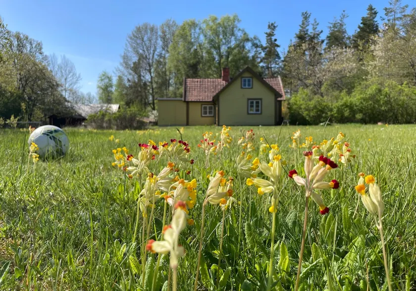 Cottage near Kalmar with large yard - Image 1