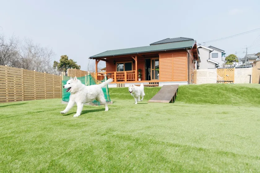One - Log house where you can stay with pets - [Limited to one group per day] - Image 1