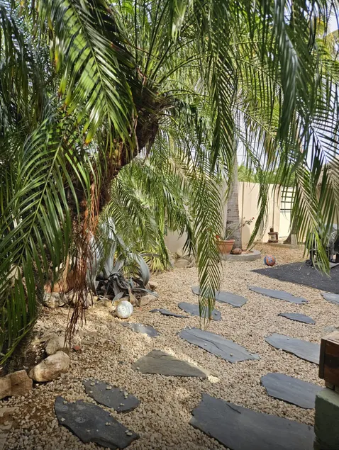 Bon Bini, Aruba - Image 1