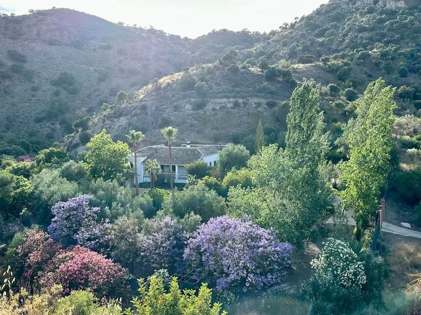 Authentic Luxury Villa in Oasis with Pool close to Malaga - Image 1