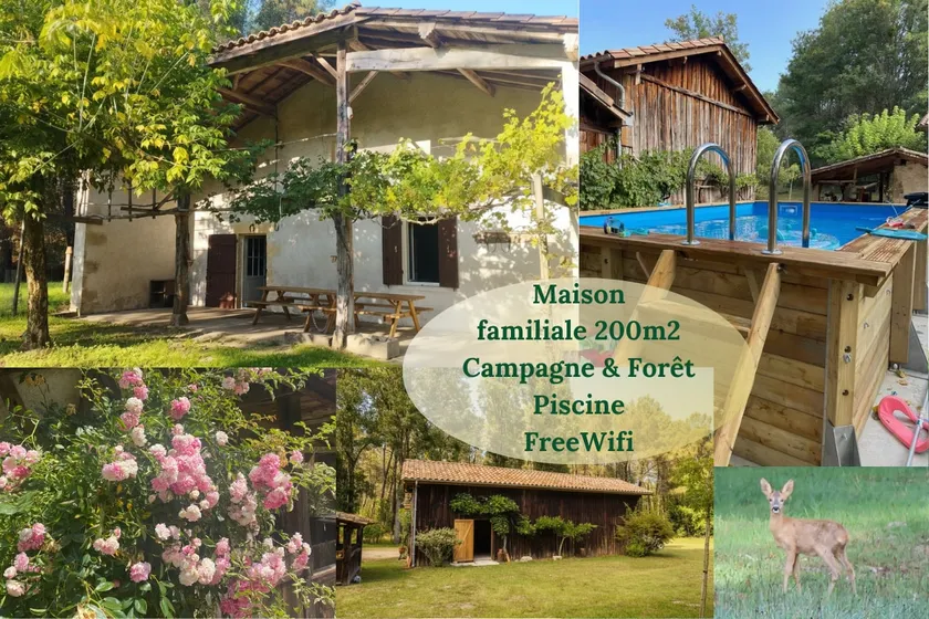 Family home in the middle of the forest with swimming pool - Image 1
