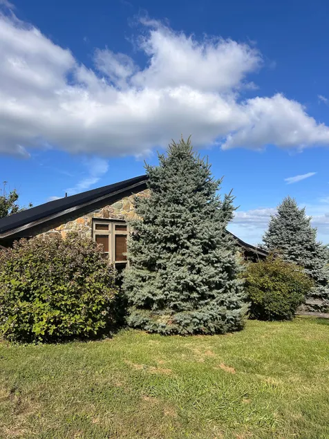 The Stone Cottage at Bluemont Vineyard - Image 1