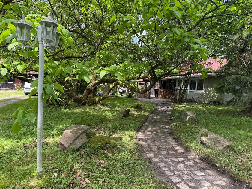 The Cottages - Image 1