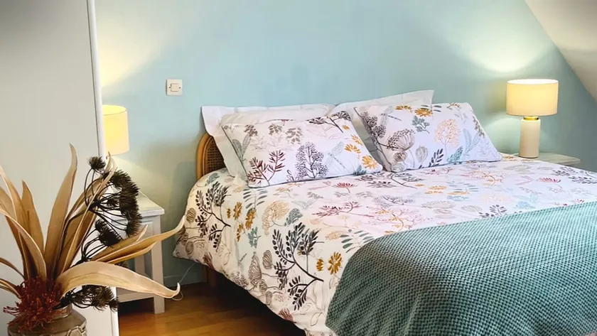 Le Petit Cosy King Size Bed, Calme et Parking privé - Image 1
