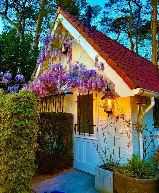 Luxe tiny house BnB Dante. 5 fiets min Afoort CS - Image 1