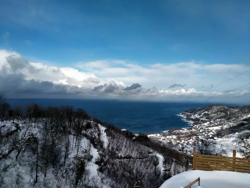 Enjoy Nature and the Sea in the Countryside - Image 1