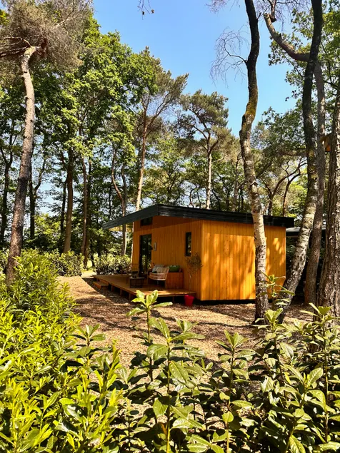 Stay in the Bosuil - Image 1