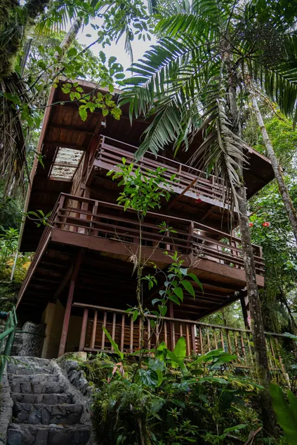 Unique eco-cabin inside cloudforest | Jungle lodge - Image 1