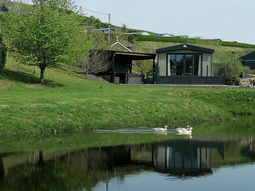 Waters Edge Lodge 1 - near Lake Vyrnwy, M Wales - Image 1