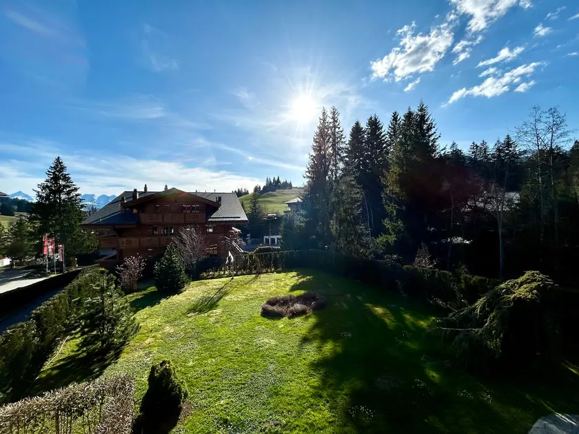 Charming alpine apartment near Gstaad - Image 1
