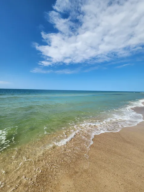 The Emerald Squid - Ocean View - Beachfront - Image 1