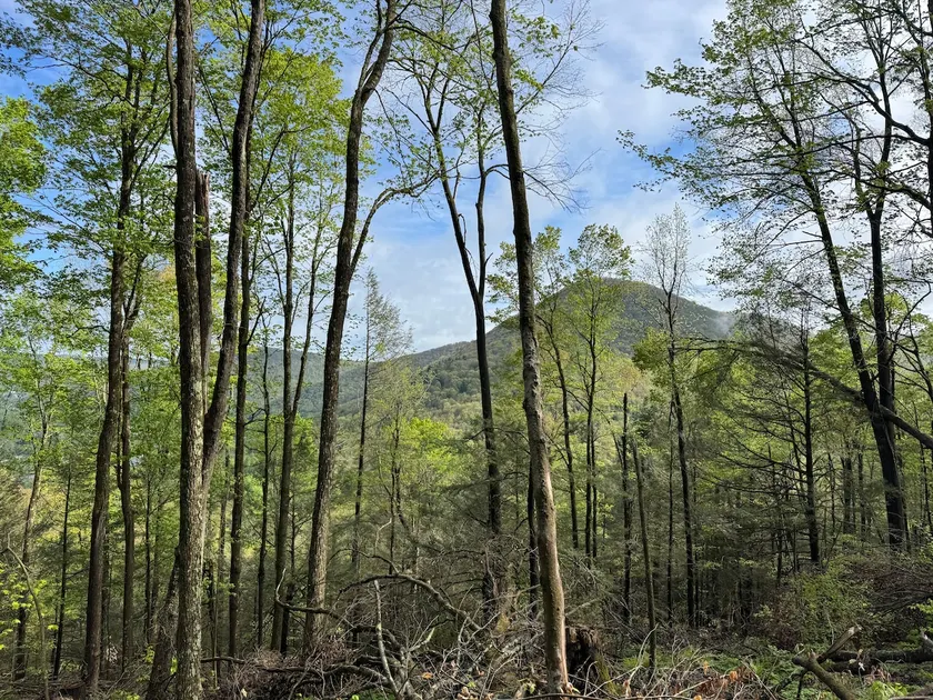 Mountain Escape on 1000 Acres Secluded Retreat - Image 1