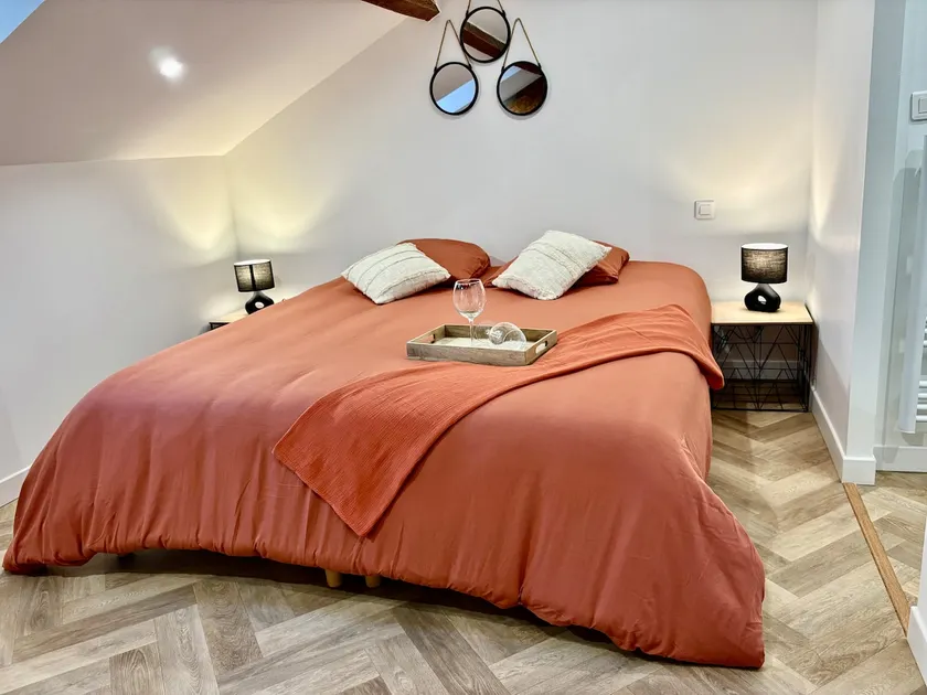 Le SILVA Centre ville Lumineux Wifi et Netflix - Image 1