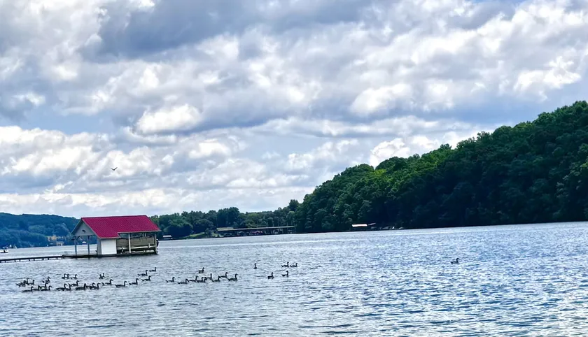 Lisa's Lakehouse - Image 1
