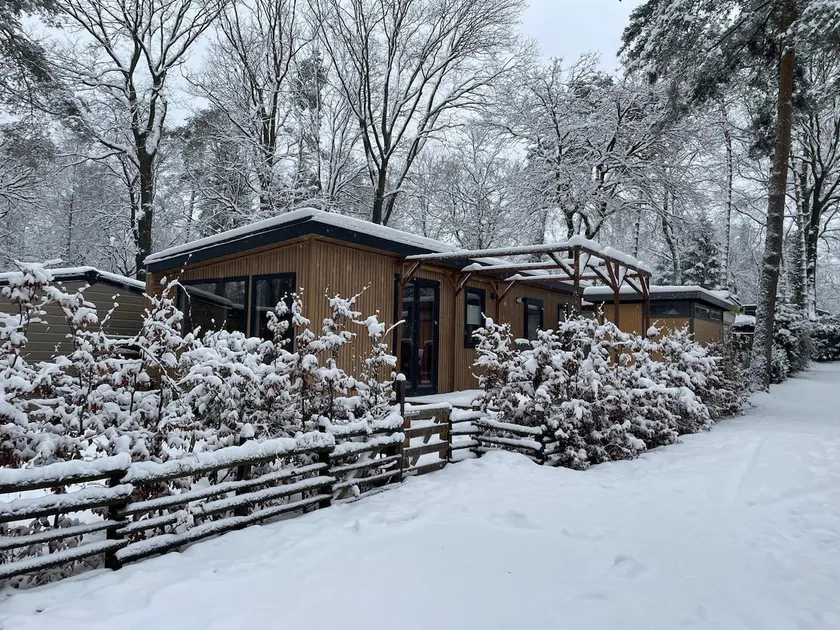 Fully equipped chill forest cabin - Image 1