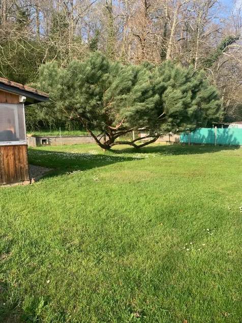 chalet with a local - Image 1