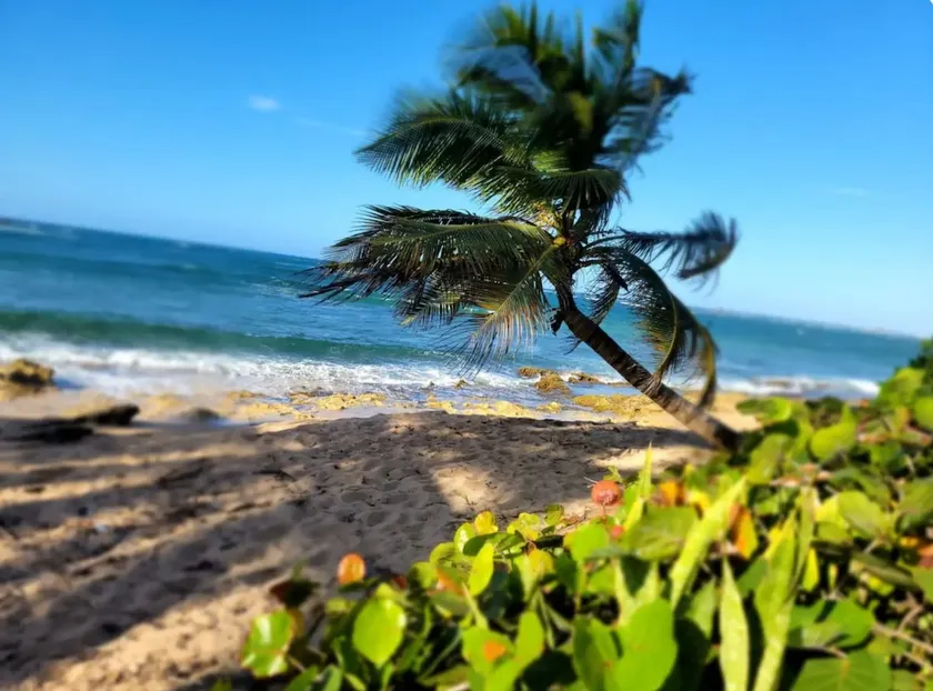 Sands - Breeze at the Ocean - Image 1
