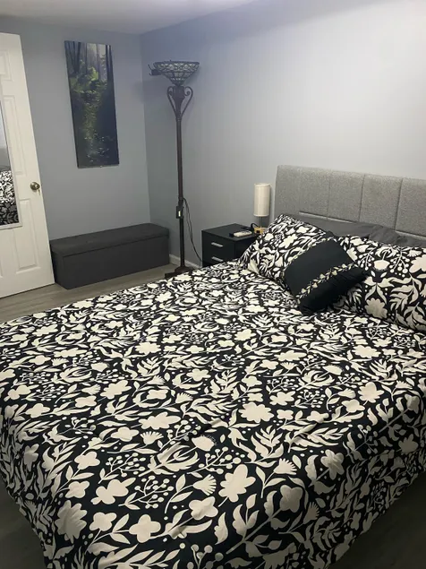 Spacious 1BR , 15 mins from UBS and JFK - Image 1