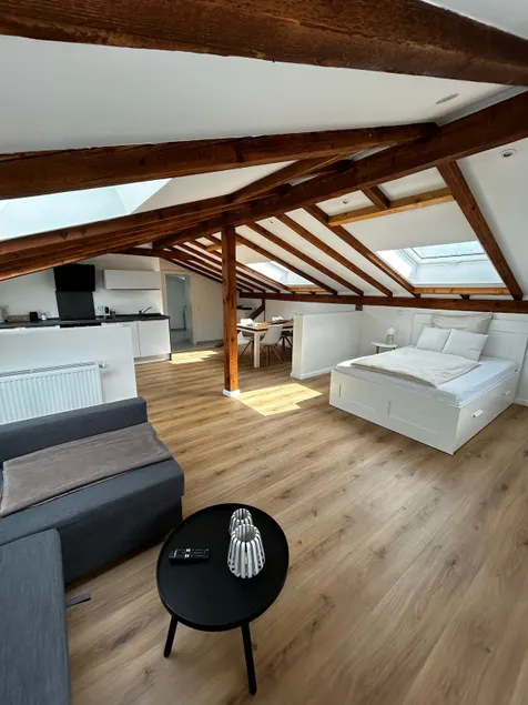 Top floor apartment with charm on the Betzenberg, close to the university - Image 1