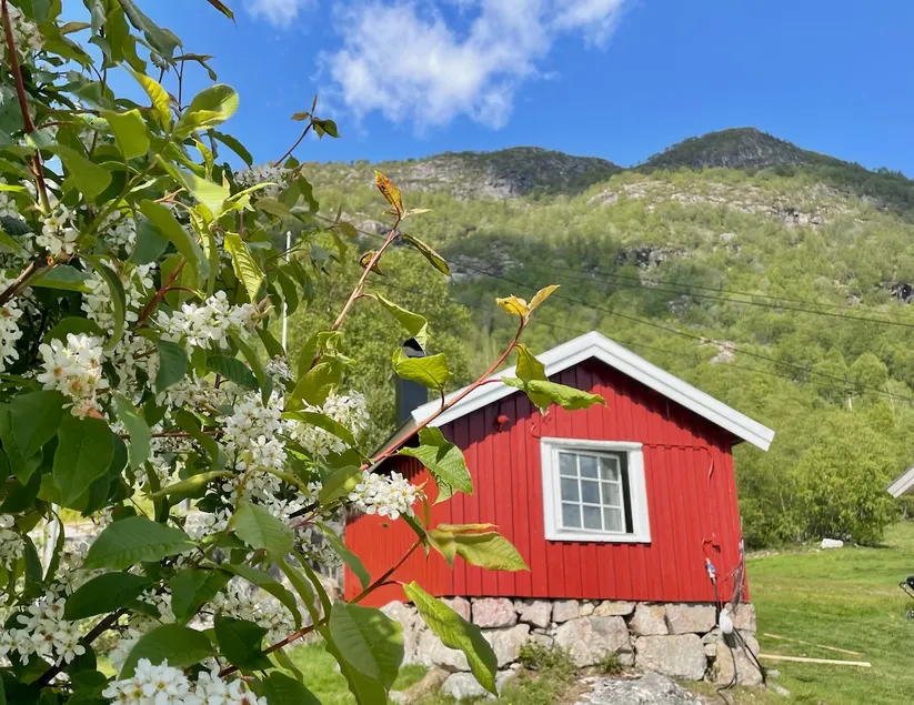 Little Eldhus with a view, right by Hardangervidda - Image 1