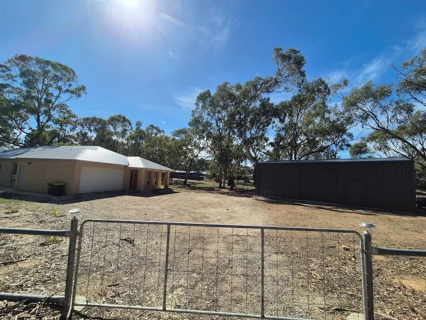 Redfin Days - Image 1
