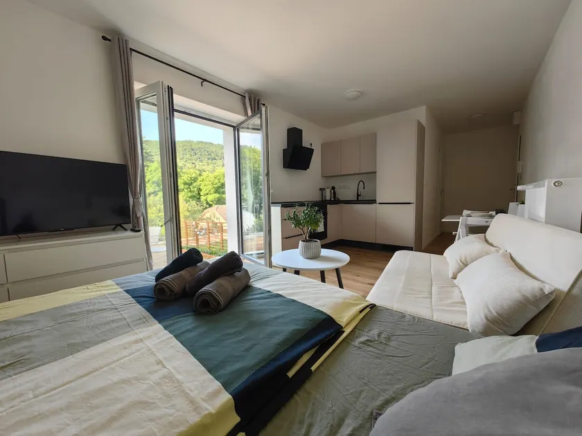 Apartment Trenčianske Teplice - Image 1