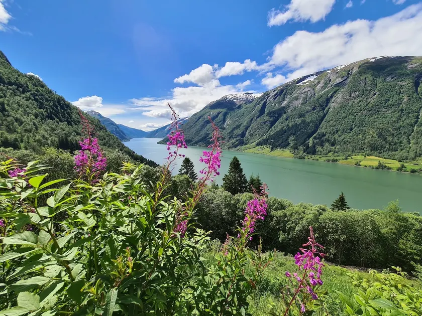 Over the Fjord - Image 1