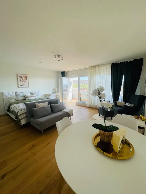 Studio suite apartment in Lörrach - Image 1