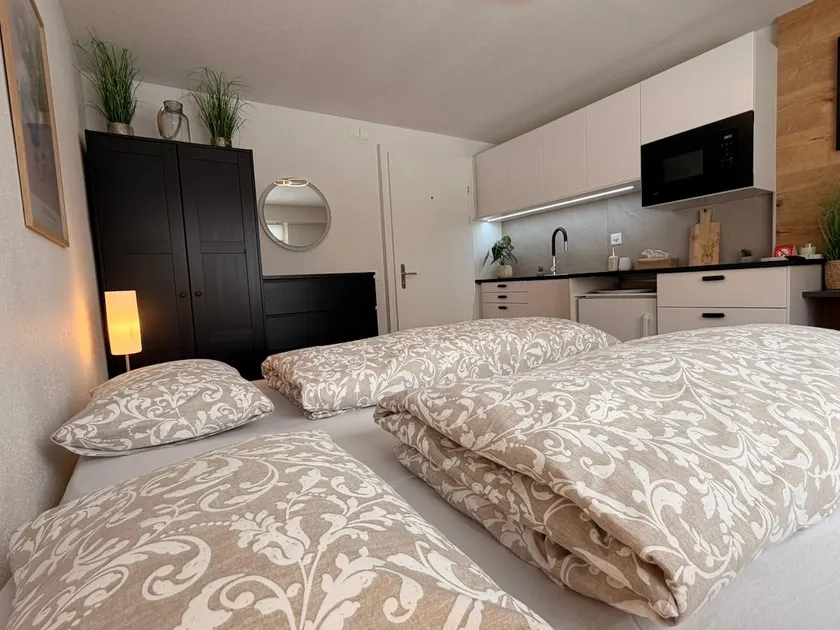 Charming 1-bedroom studio - Image 1