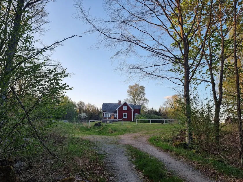 Margit's cottage - charming off grid in the woods - Image 1